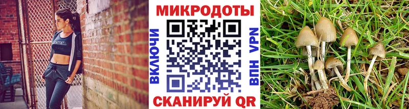 Галлюциногенные грибы прущие грибы  Балахна 