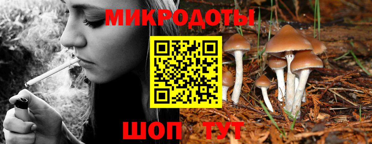 Балахна  Псилоцибиновые грибы Psilocybe  Вход с VPN 